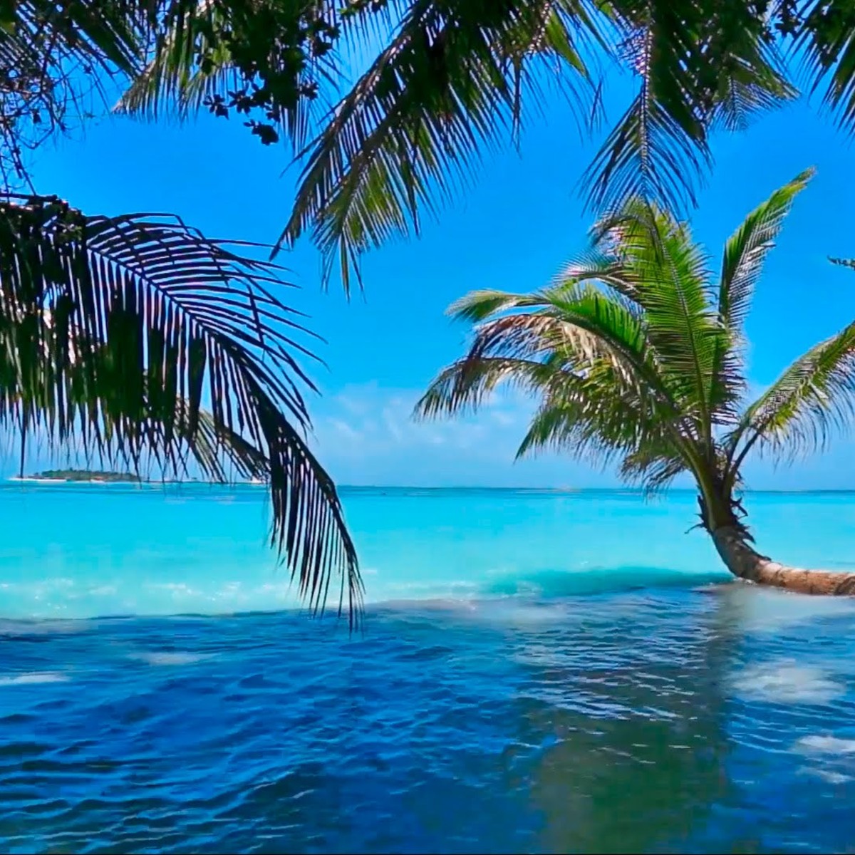 PASTILLAS PARA ADELGAZAR